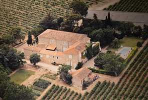 Wine Production Domaine With..