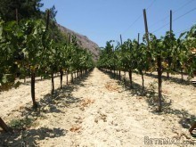 Invest On Land In Greece