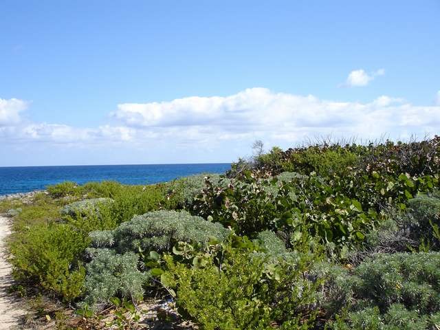 Singlefamilyvacant - Lot 3, Block 43..