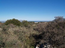 Vamos Land For Sale