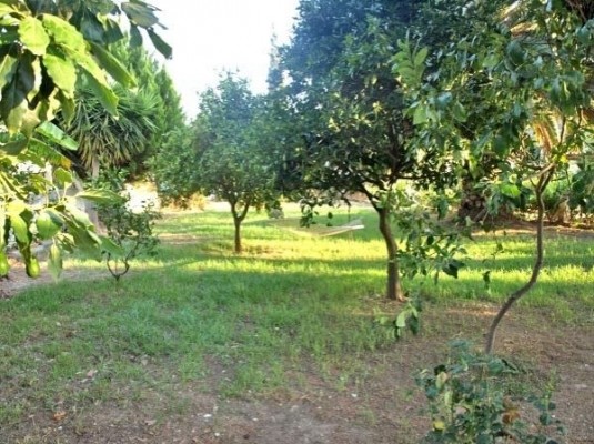 Other, Kissamos, Greece - 2