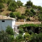 Cortijo, Colmenar - 2
