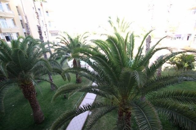 Apartment for rent and for sale in..