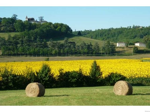 Farmhouse In 5 Acres - 2