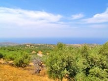 Sea View Hillside Land For Sale -.. - 2
