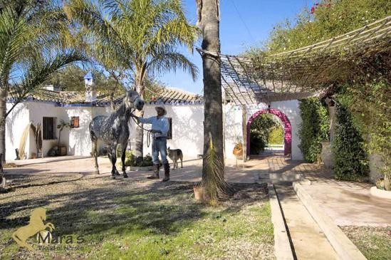 Finca mit Gaesteapartments..