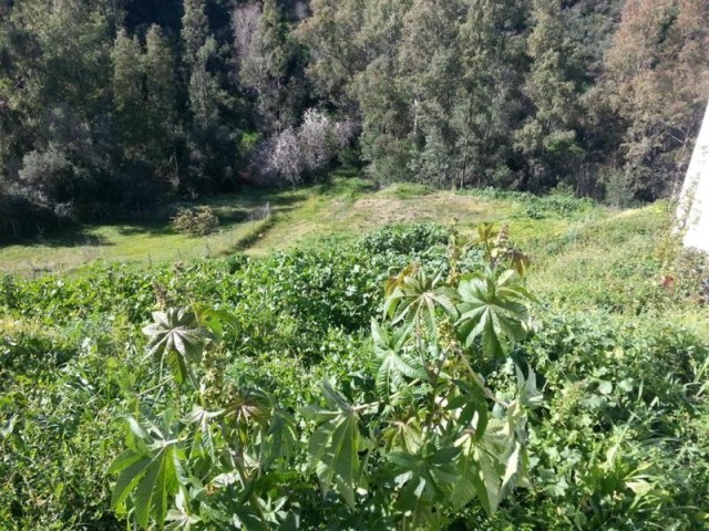 Land - plot of land in term of Mijas.. - 2