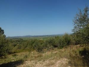 Son Maçià, finca plot of about 35.000m2..