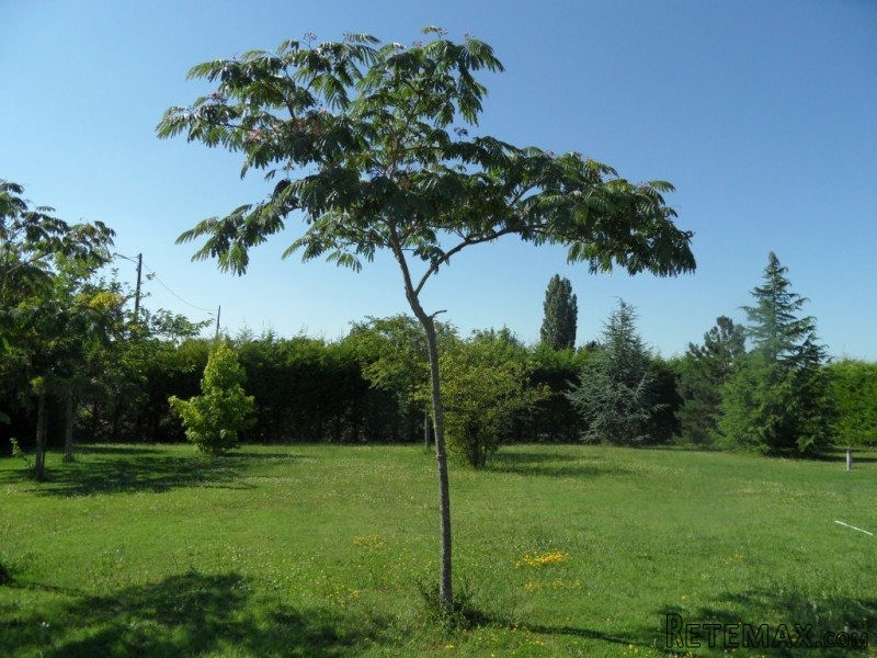 Stone House For Sale St Jean D Angely - 2