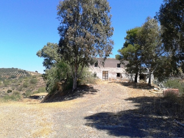 Finca for sale in Estacion de Cartama.. - 2