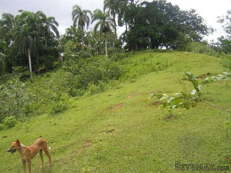 Farm In Rio San Juan - 2