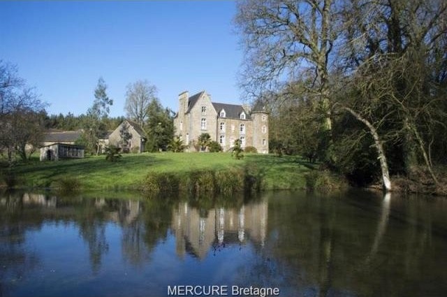 10 bedroom Castle For Sale: 35720 ENTRE..