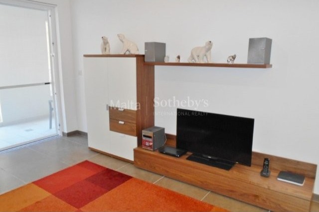 Highly Furnished Apartment - 2