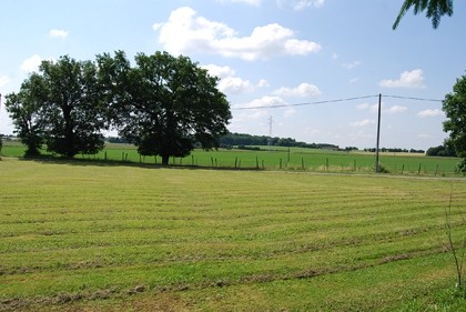 Great price for a pretty property with.. - 2