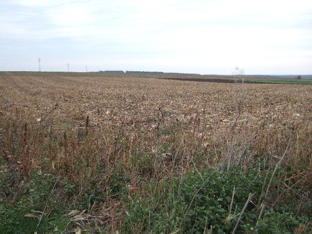 Land in Krupen, Kavarna