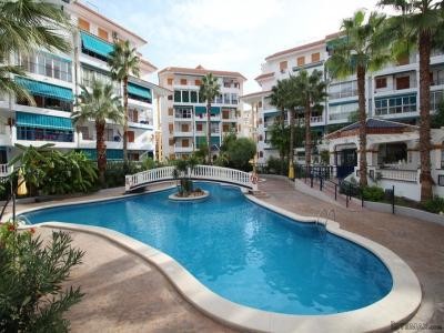 2 Bedrooms - Apartment - Alicante - For.. - 2