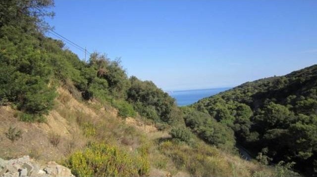 PLOT WITH SEA VIEWS IN BEGUR