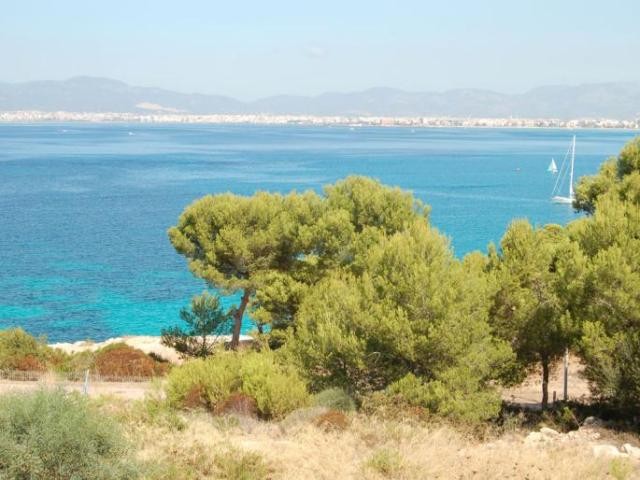 *SOLD* First sea line plot with.. - 2
