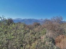 Vamos Land For Sale - 2