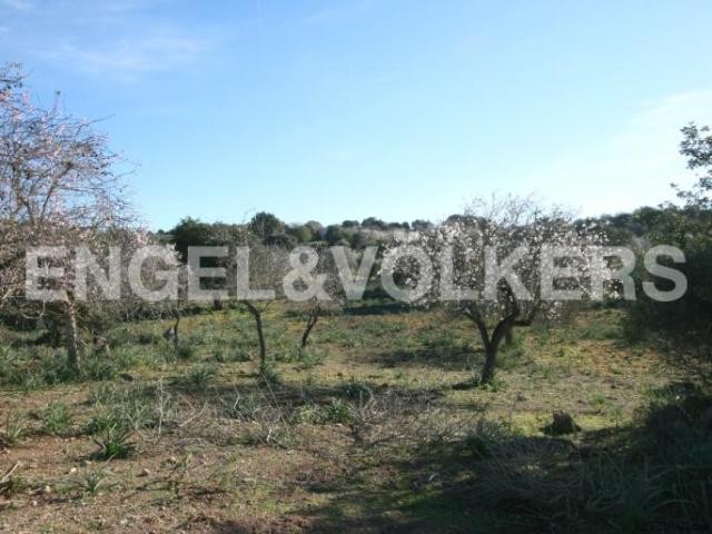 Plot of land with an old stone farmhouse - 2