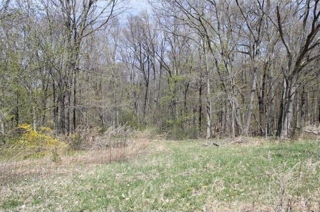 Land For Sale: Greenwich, Connecticut - 2