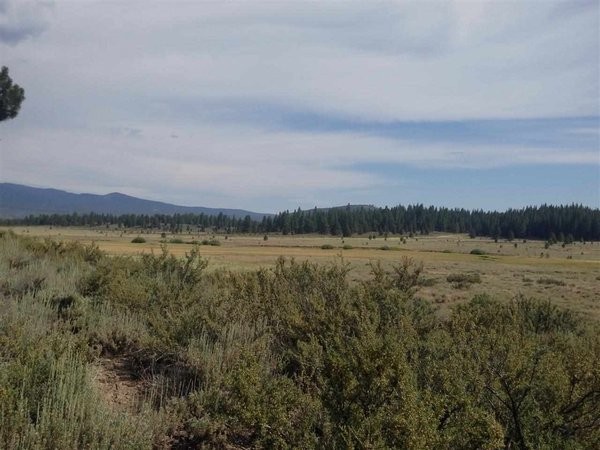 Land For Sale: Truckee, California - 2