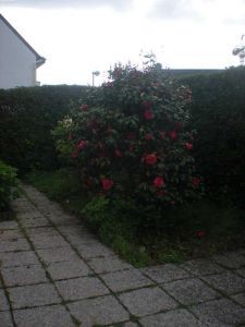 Maison - Ploemeur - 2