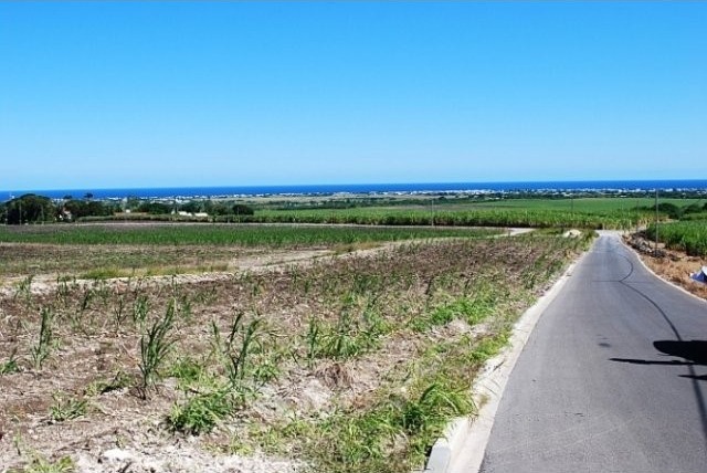 Property For Sale: Mount Pleasant Lot.. - 2