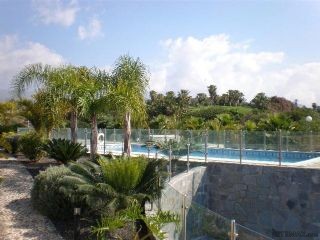 Apartment in Amarilla Golf - 2