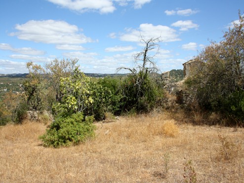 Land - Plot of almost 4 acres with.. - 2