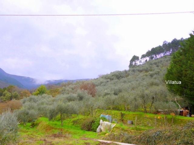 Country/farmhouse - For Sale - South of.. - 2