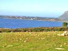 Property By The Sea - 2