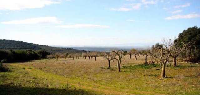 Plot with panoramic views nearby Sant.. - 2