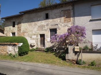 Authentic Renovated Old Stone House - 2