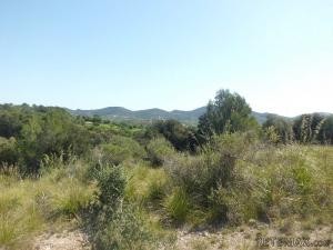 Son Maçià, finca plot of about 35.000m2.. - 2