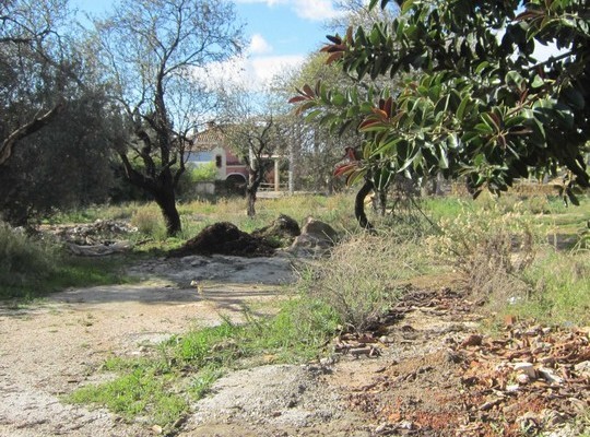 Land for sale in Valdeolletas..