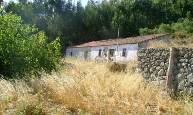 Tipical farm with 9.160 m2 of land.. - 2