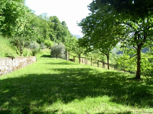 Country/farmhouse - For Sale -.. - 2
