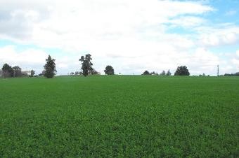 DORDOGNE land a batir of 2500 m2 - 2