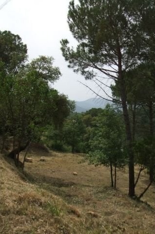 0 Bedrooms - Land - Girona - For Sale - 2