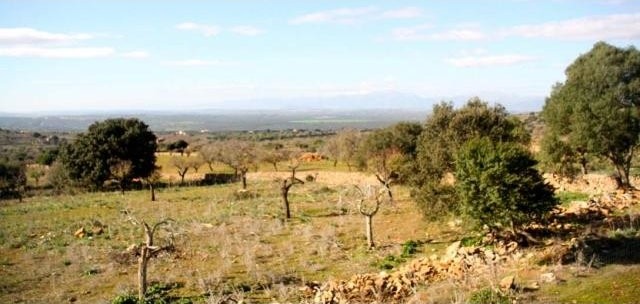 Plot with panoramic views nearby Sant..