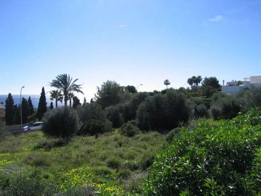 Plot - Sol De Mallorca / Cala Vinas