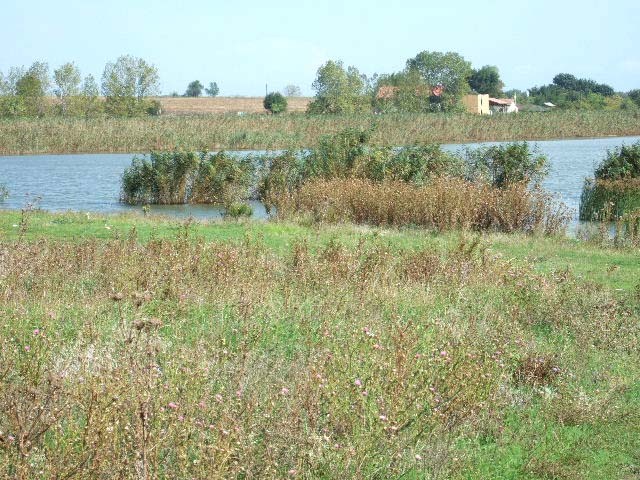 Land in Durankulak, Shabla