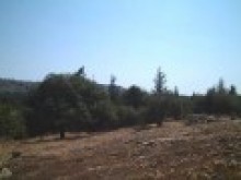 Building Plot For Sale In Quiet Area -..