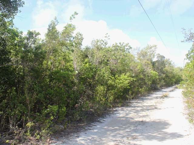 Singlefamilyvacant - 3.5 acre tract of.. - 2