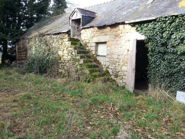 Farmhouse, 3 Acres and Outbuildings - 2