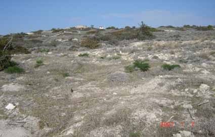 Larnaca