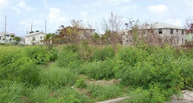 Property For Sale: Mangrove Lot 27, St... - 2