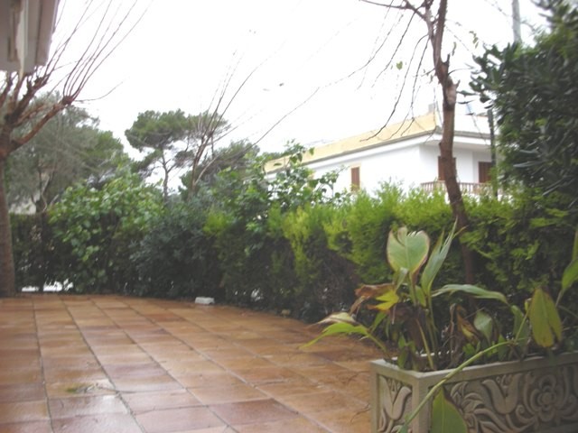 3 Bedrooms - Apartment - Islas Baleares.. - 2