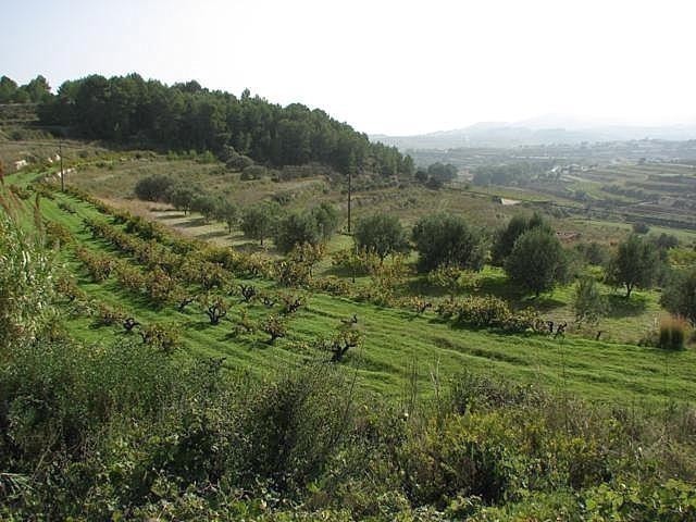 Land - For Sale - 2
